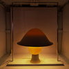 Limited Edition Passaggi Table Lamp by Andrea Branzi for Design Gallery Milano